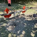 Camping L Eden Road